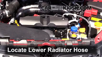 Coolant Flush How-to: Subaru Forester (2014-2018) - 2014 Subaru